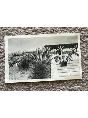 Family Sitting On Steps Donna Texas Photo Black And White Photo Vintage